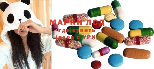 индика Зеленокумск