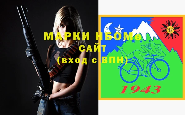 индика Зеленокумск