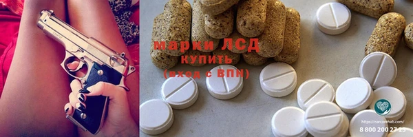 индика Зеленокумск