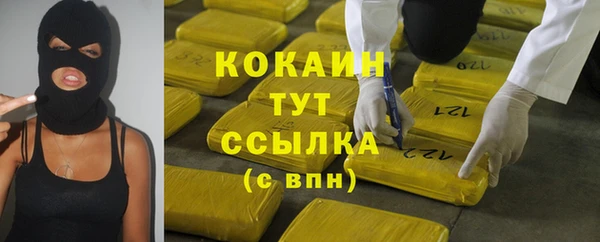 индика Зеленокумск
