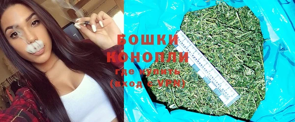 индика Зеленокумск