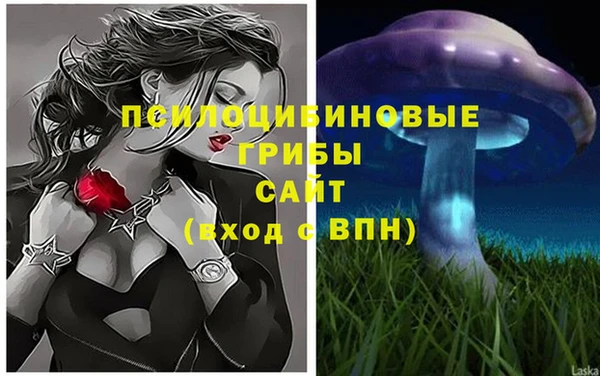 Альфа ПВП Зерноград