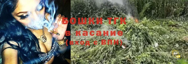 молекула духа Зеленодольск