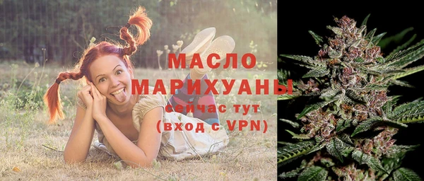 молекула духа Зеленодольск