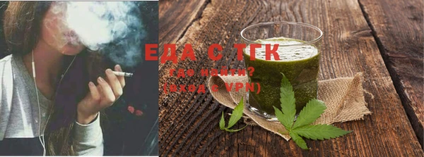 индика Зеленокумск