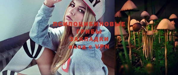 индика Зеленокумск