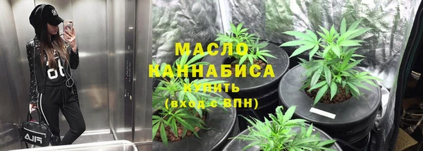 молекула духа Зеленодольск