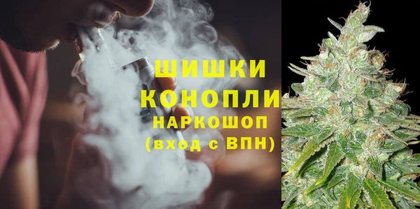 молекула духа Зеленодольск