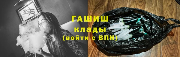индика Зеленокумск