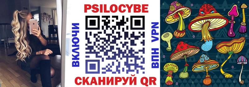 Купить закладки  Петровск  Псилоцибиновые грибы ЛСД 